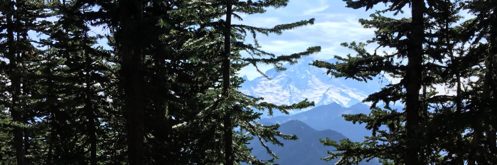 megorunner's profile banner image