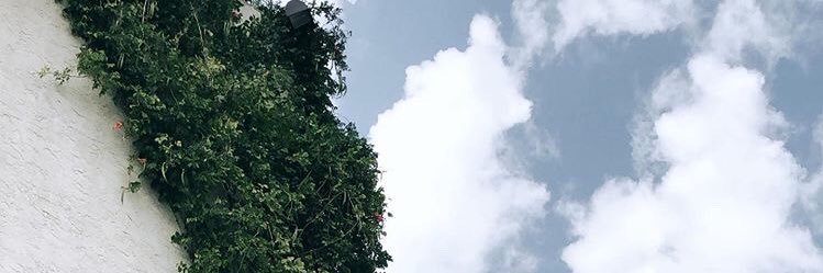 KelseyWalling's profile banner image