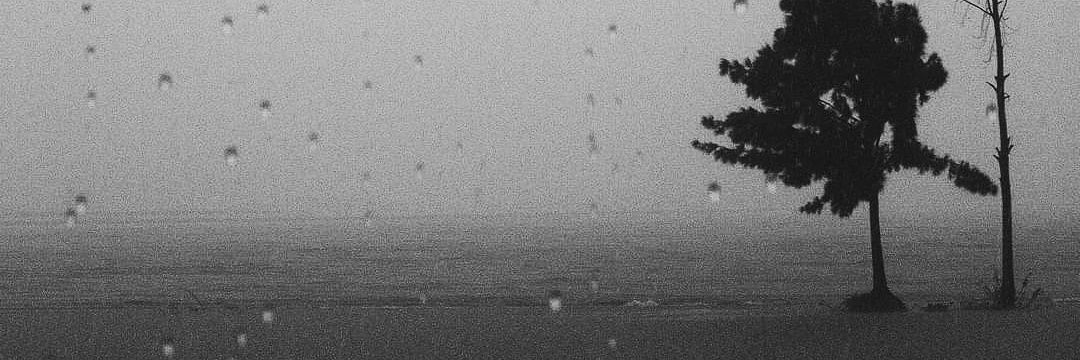 argusa44's profile banner image