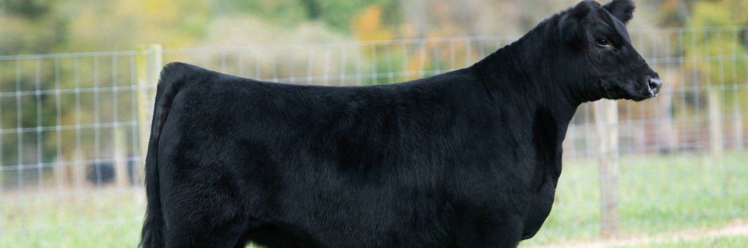 Dylan Frazier banner