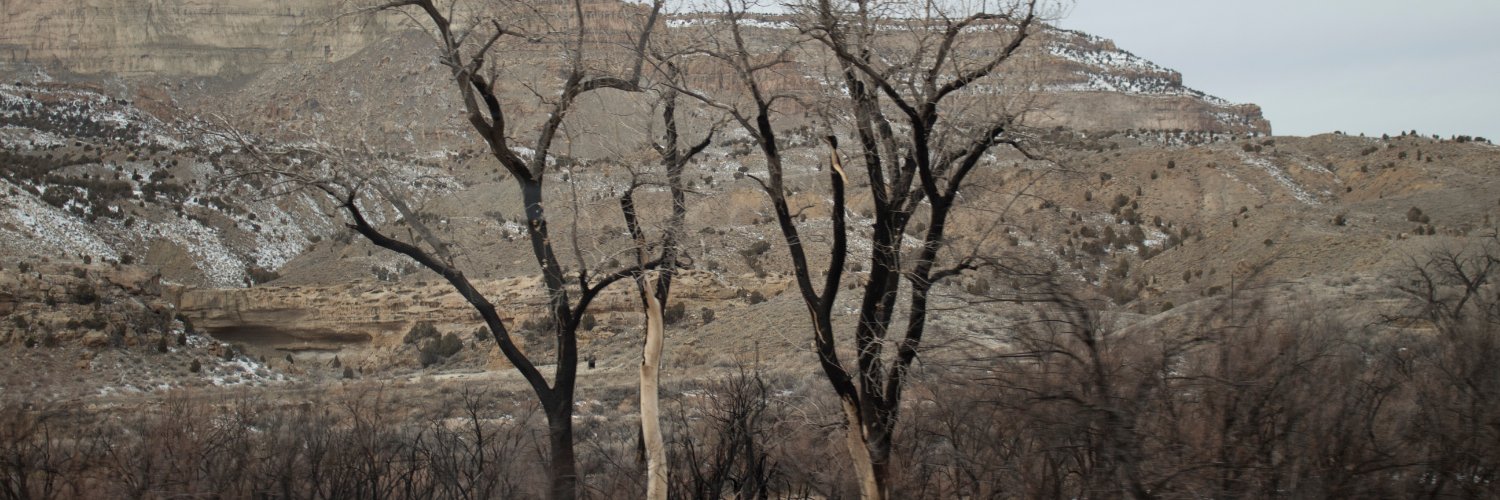 Neoblizz 🐘 banner