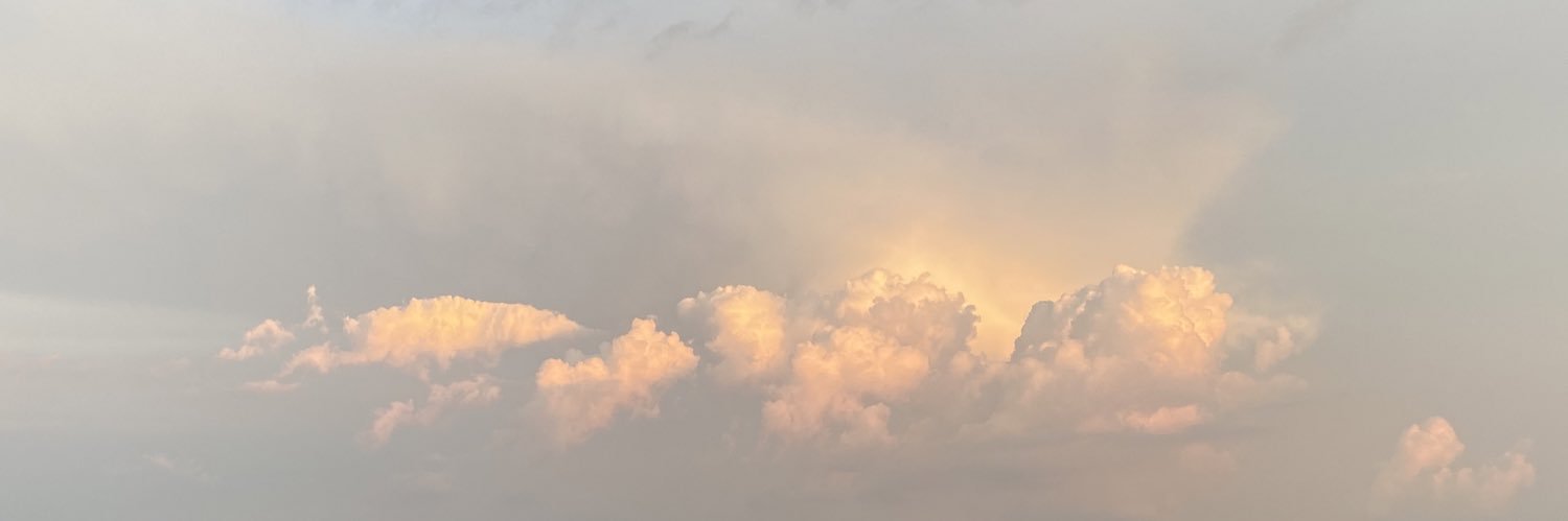 ChelseyForister's profile banner image