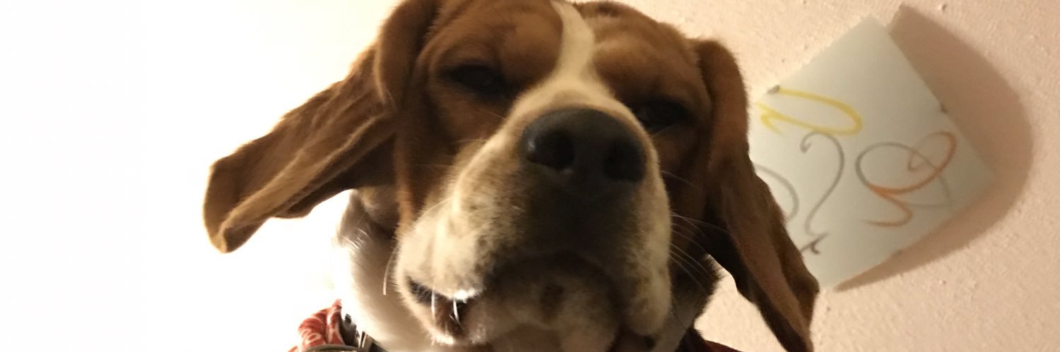 rodroba's profile banner image