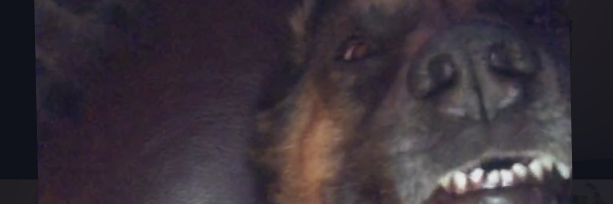 breannaevert's profile banner image
