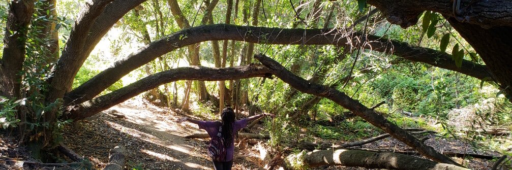 NaturallyMC's profile banner image