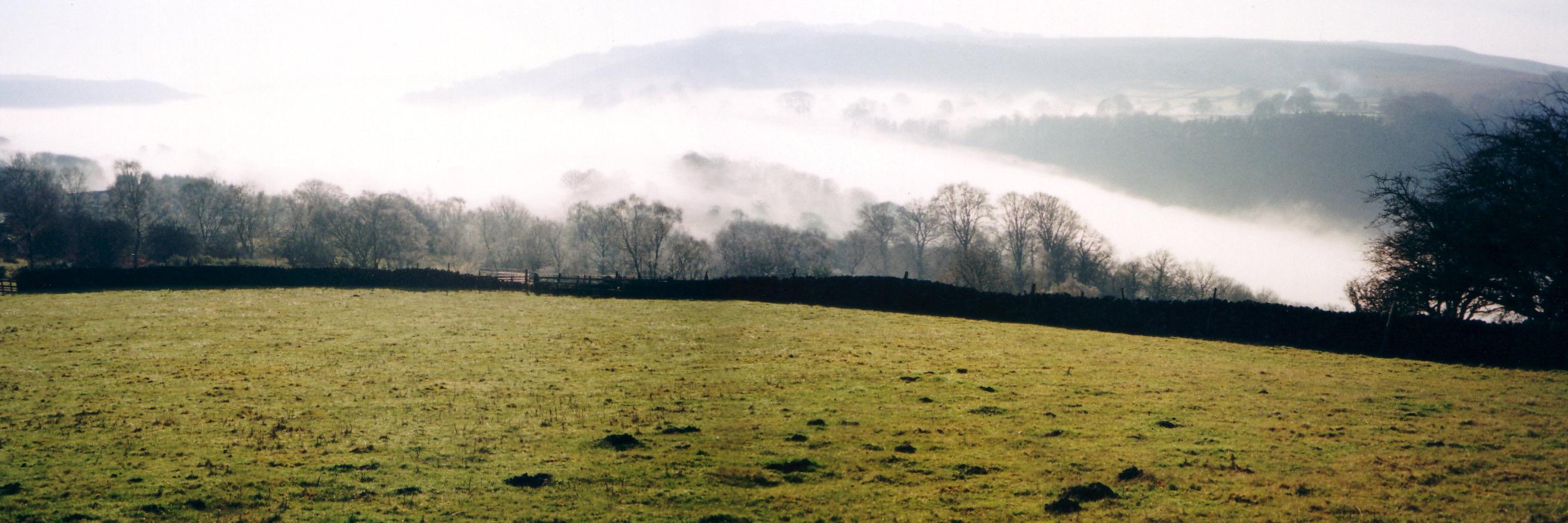Richard Speed banner
