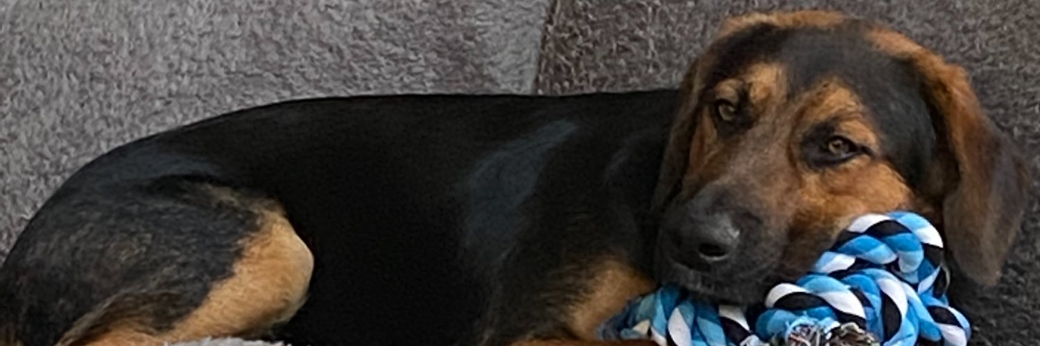 Dr. Brad Reinfeld, MD PhD banner