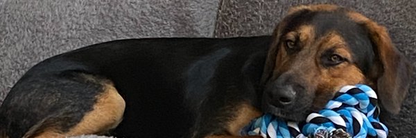 BReinfeld Profile Banner
