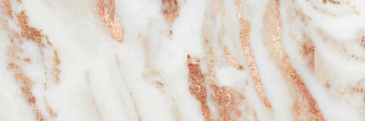 FatuNoseda's profile banner image