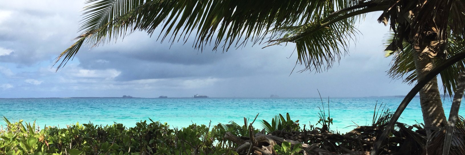 Byron Kennerly banner