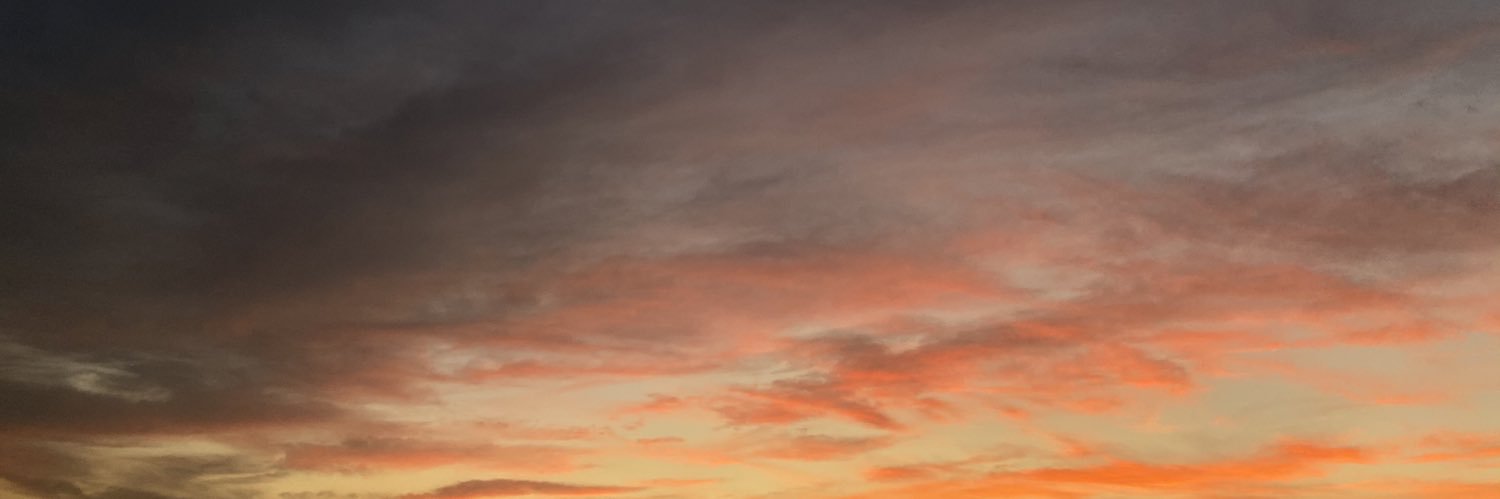 LangHawk's profile banner image