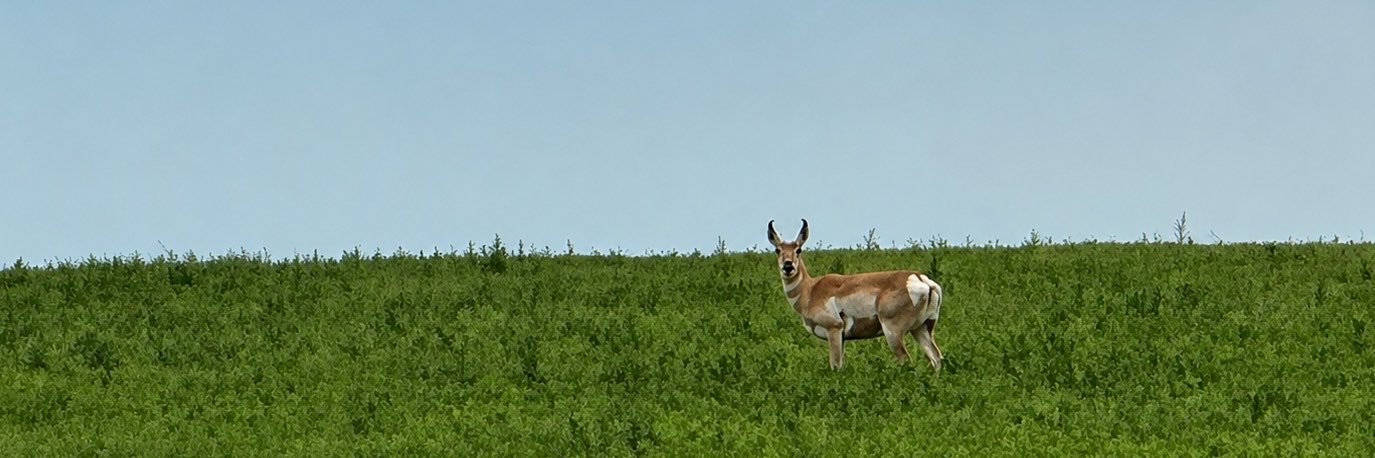 LifeInThe306's profile banner image