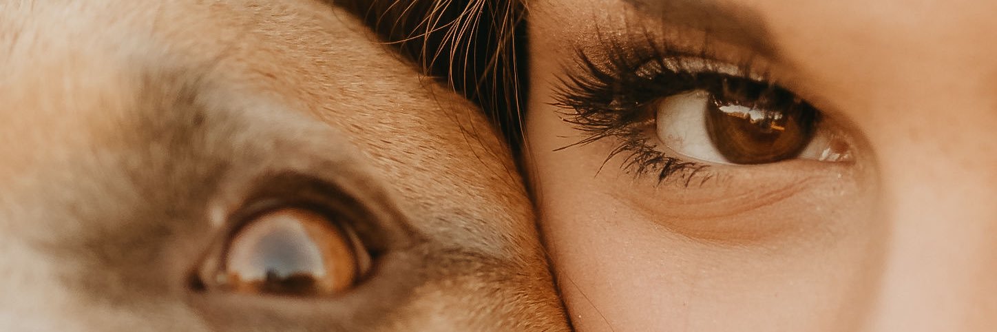 ayesmithgurl's profile banner image