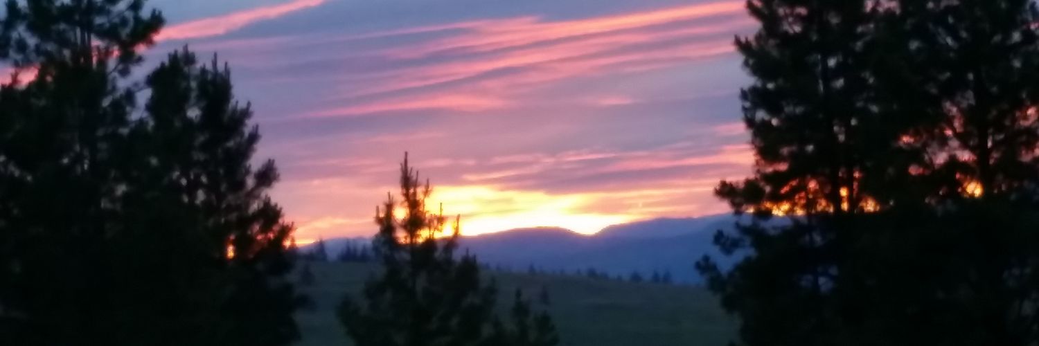 wldfire34's profile banner image