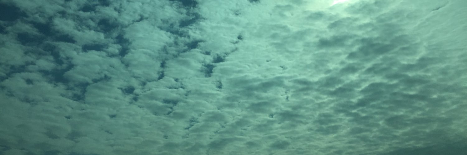 RLwooo's profile banner image
