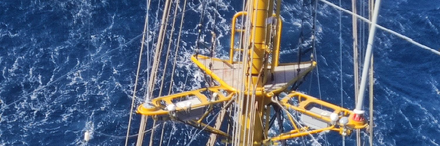 Johann Rudolf banner