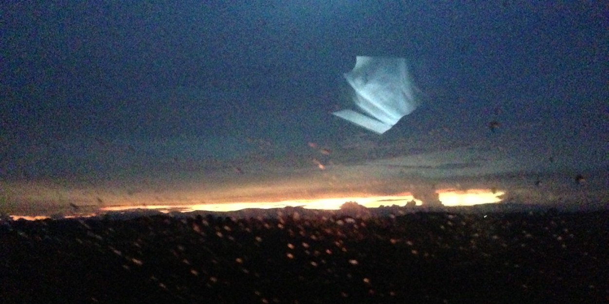 Joyce E. Sierra banner