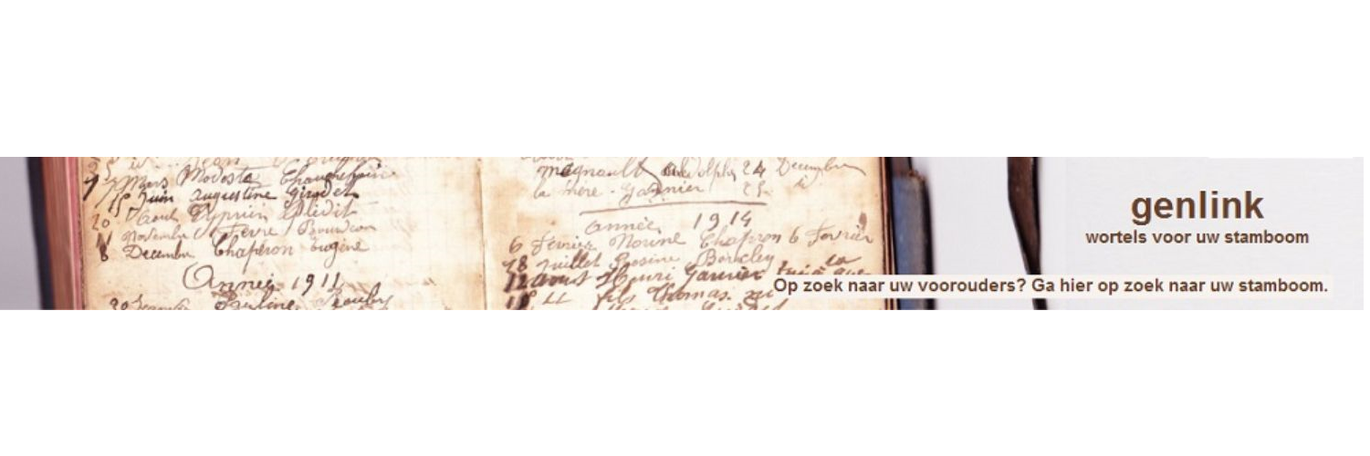 stamboom's profile banner image