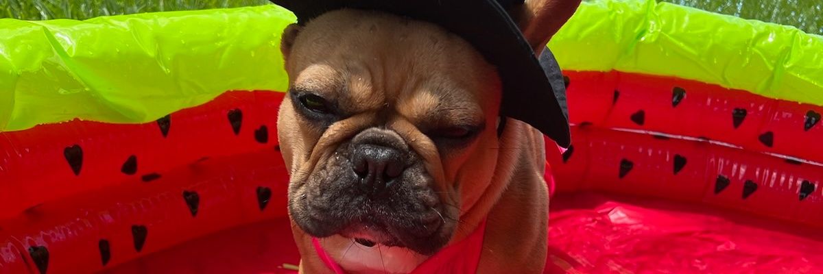 pumba750's profile banner image