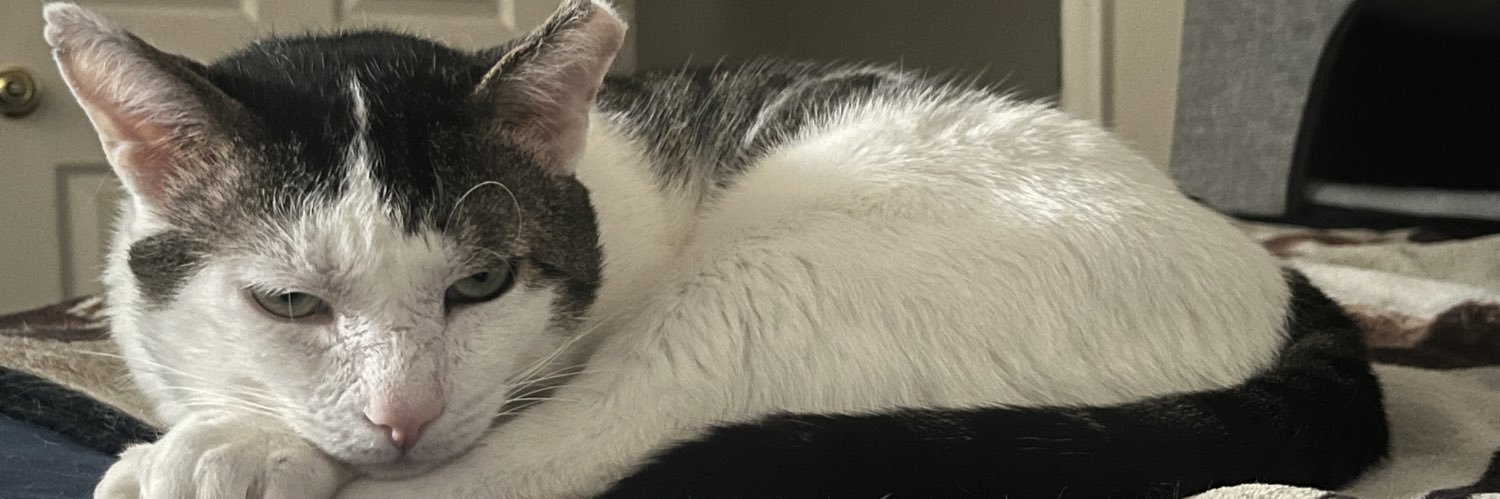 KittAndFriends's profile banner image