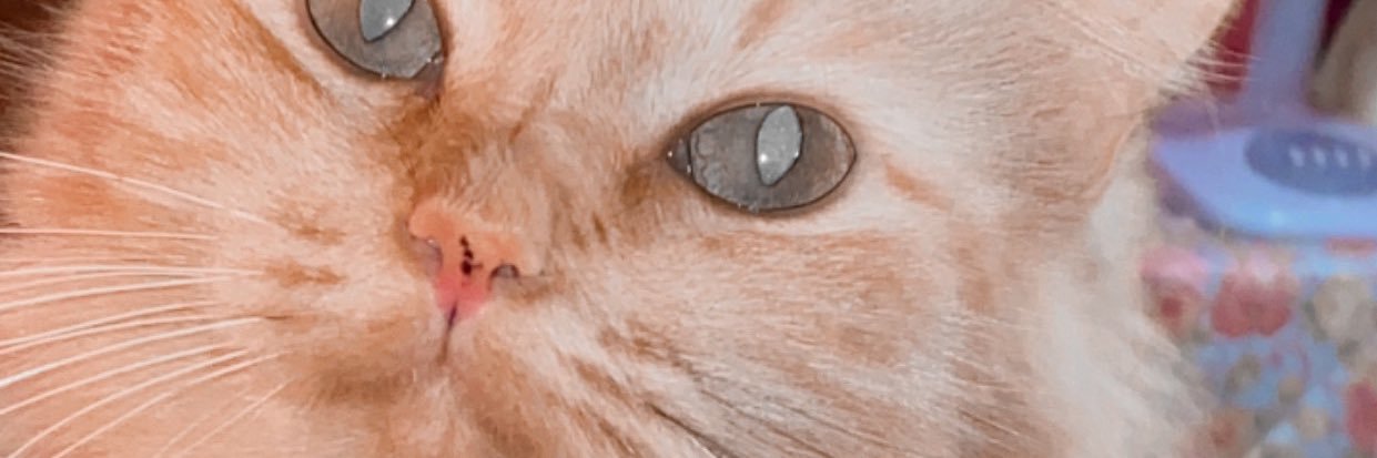 sfnakbr's profile banner image
