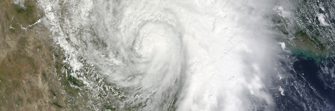 txagwx's profile banner image