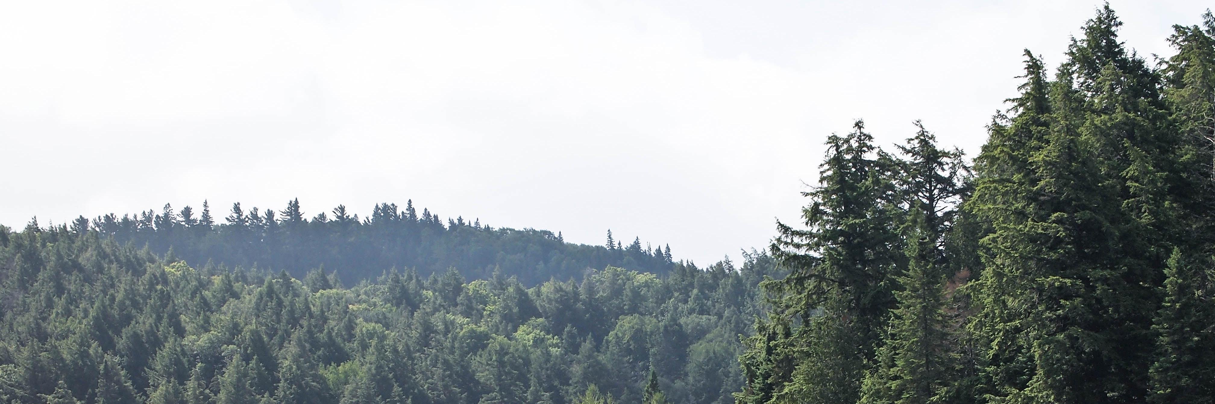 mlyw_77's profile banner image