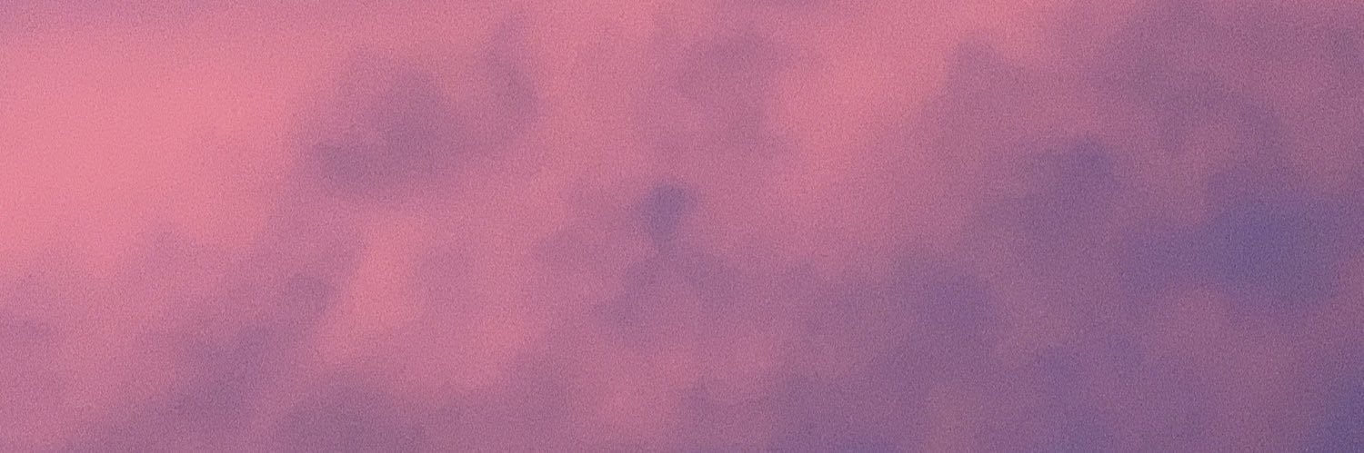 saucysouthern's profile banner image