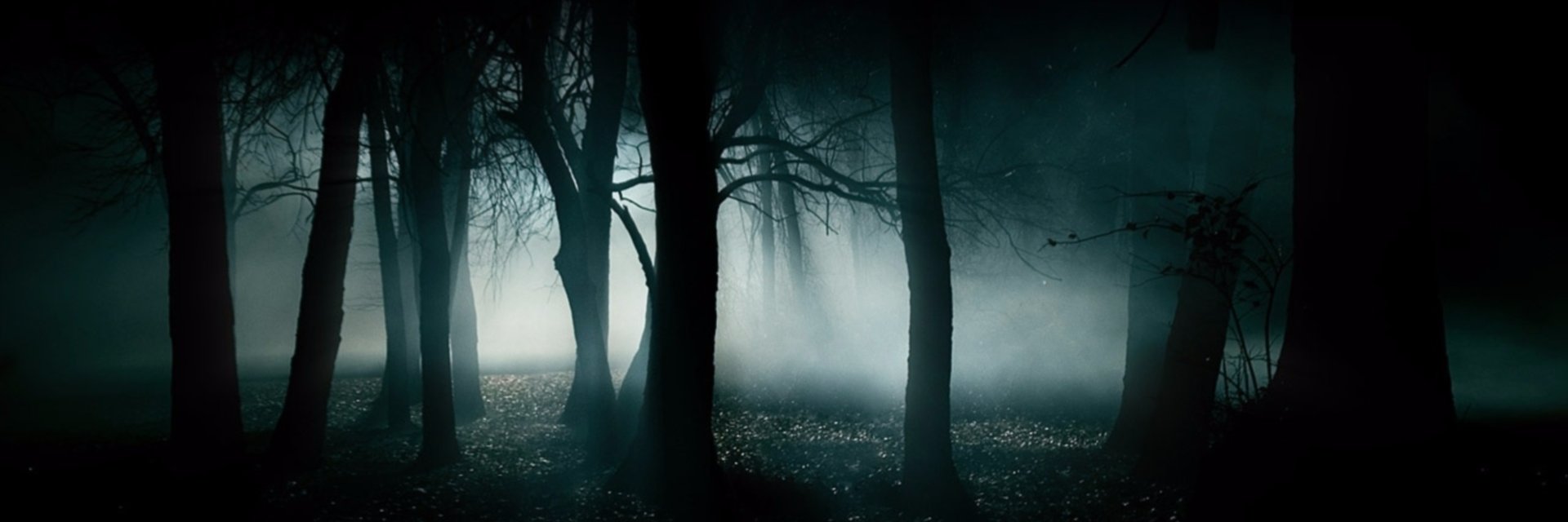 Leandro Cardoso banner