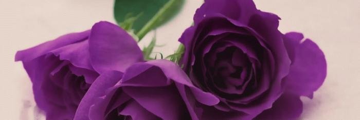 AmargiWJ's profile banner image