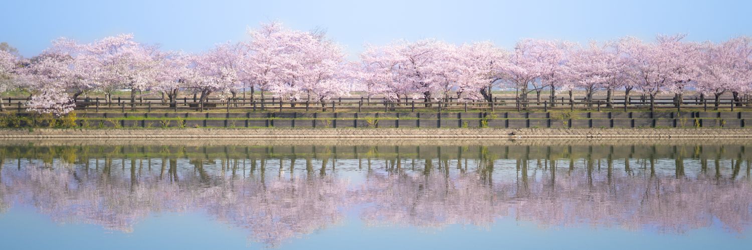 HatsuMode's profile banner image