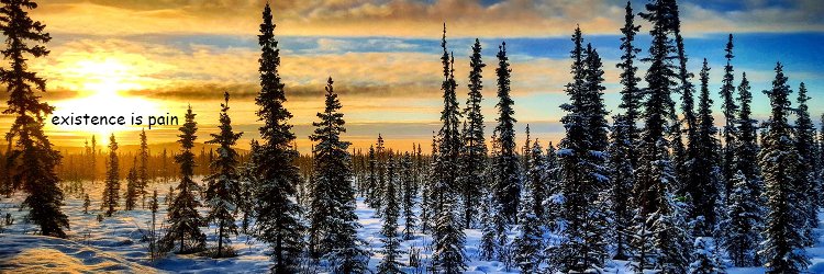 Hipmunks's profile banner image