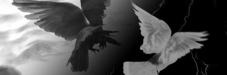 Feathershadow's profile banner image