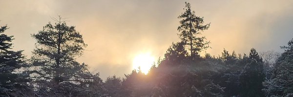 JDomala's profile banner image