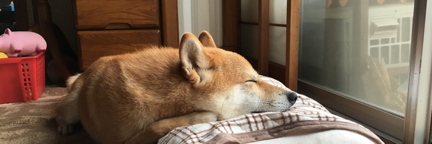 onsen_go's profile banner image
