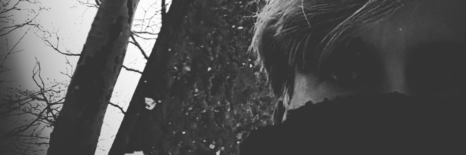 TwilightCommand's profile banner image
