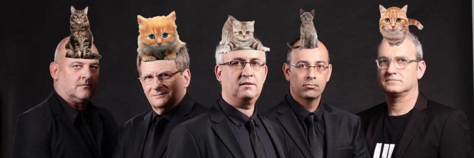 NotRolnik's profile banner image