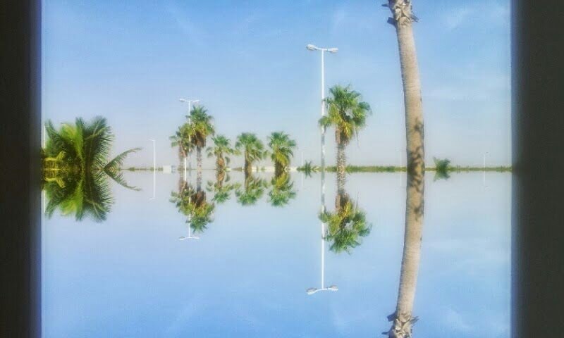 oufiis's profile banner image