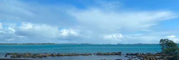 High Vibrational 💙 banner