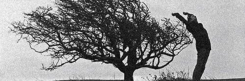 aspartamebrain's profile banner image