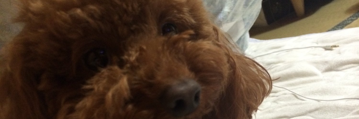 ruth_starly's profile banner image