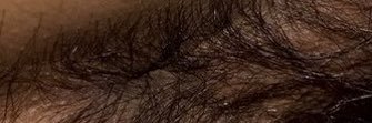 HiWingwing's profile banner image