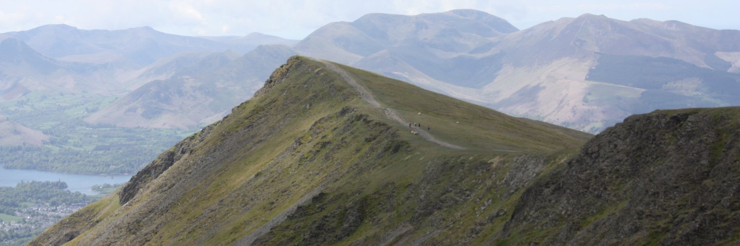 David Emmerson banner