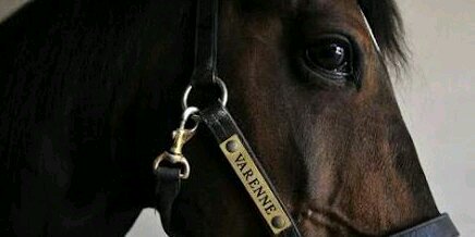 OrlandiRacing's profile banner image