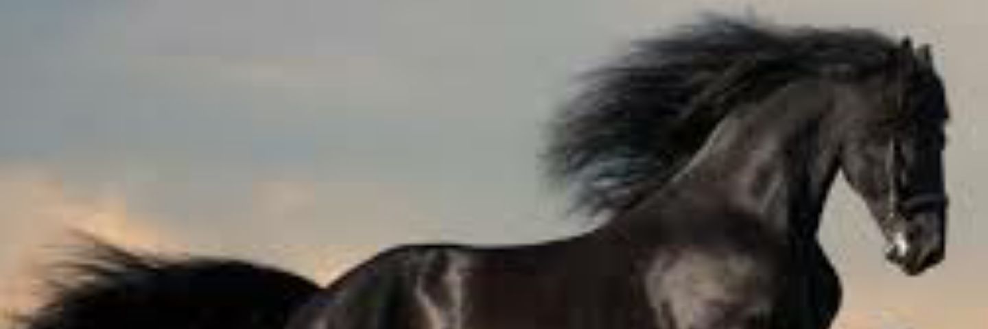 abdulrazaqaied's profile banner image