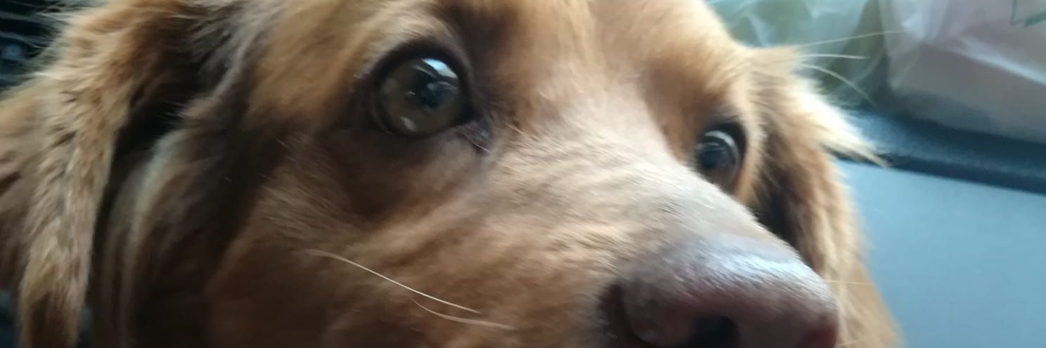 raffyfonzy's profile banner image