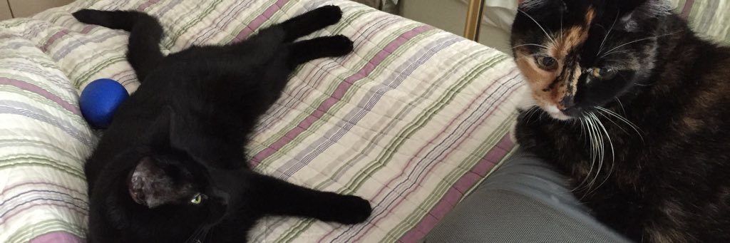 Andrew Marshall banner