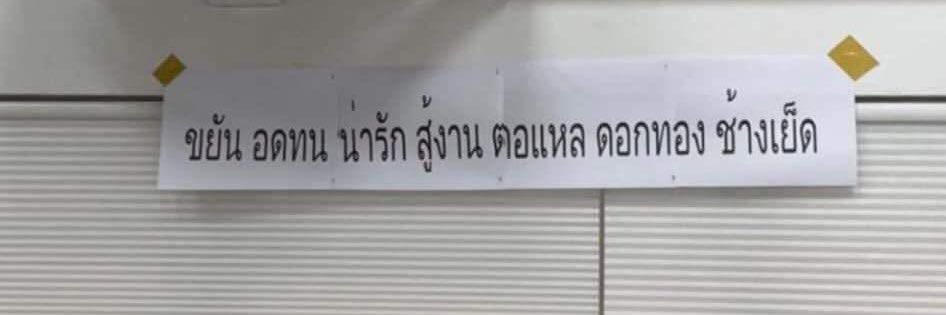 เมย์และน้องมิก banner