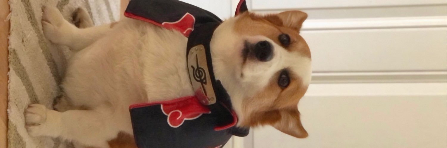 RapheyTaffy's profile banner image