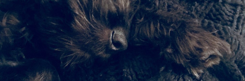 freya couzens banner